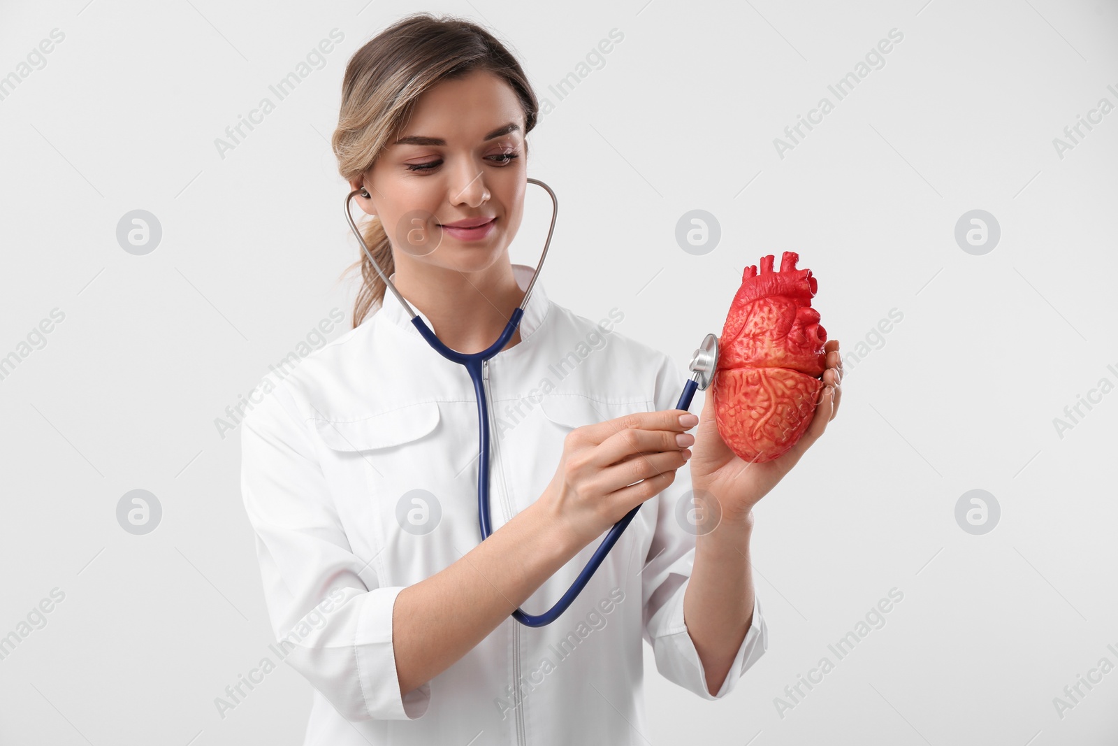 Photo of Doctor with stethoscope and model of heart on white background. Cardiology concept