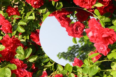 Photo of Round mirror among beautiful red flowers reflecting sky and trees on sunny day. Space for text