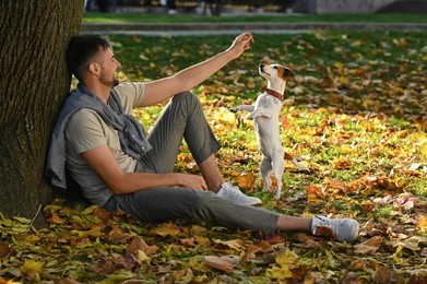 Photo of Man with adorable Jack Russell Terrier in autumn park. Dog walking