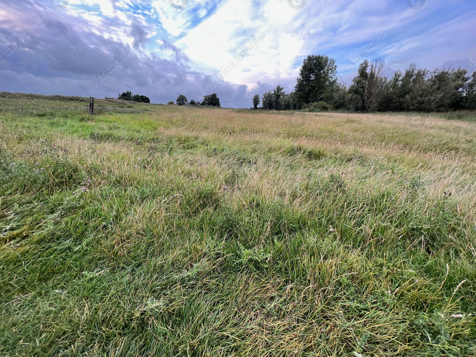 Photo of Picturesque view of green field and cloudy sky