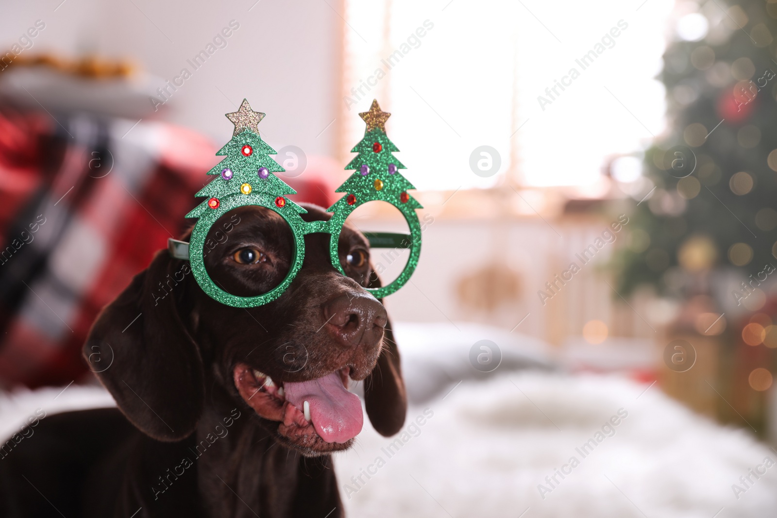 Photo of Cute dog wearing Christmas eyeglasses at home, space for text