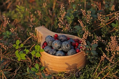 Photo of Wooden mug full of fresh ripe blueberries and lingonberries in grass
