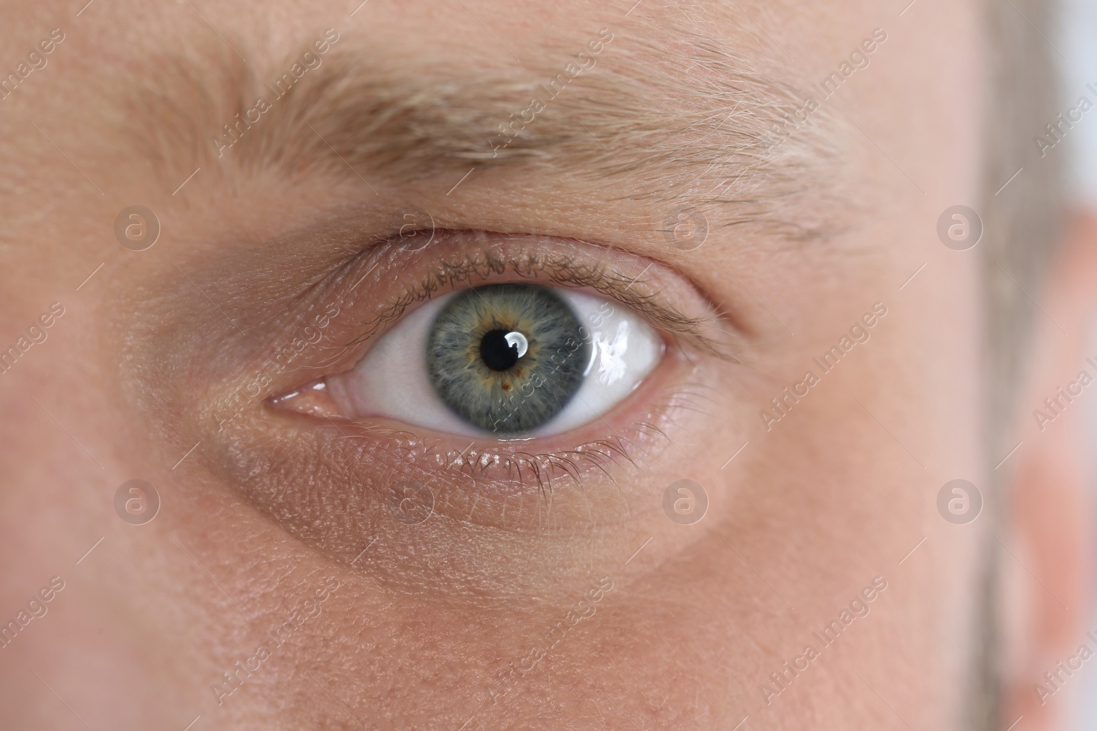 Photo of Young handsome man, focus on eye. Vision examination