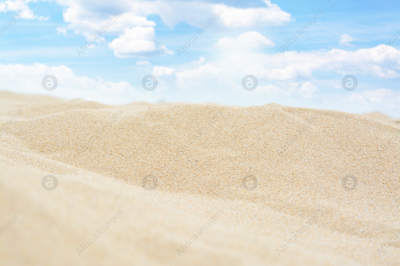 Photo of Beautiful view of sandy beach on summer day, closeup