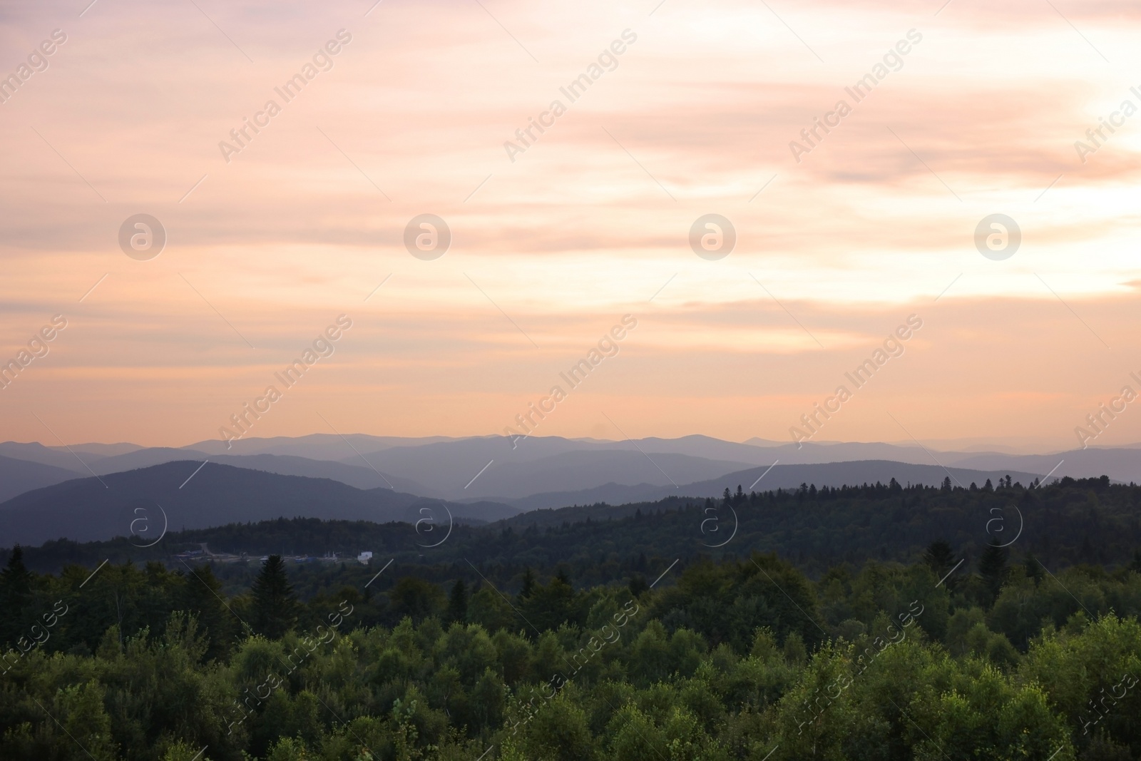 Photo of Picturesque view of mountains covered with forest under sky