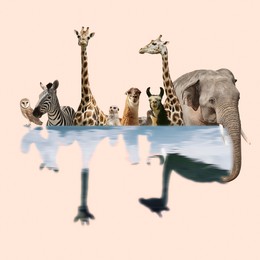 Double exposure of different wild animals and lake