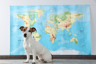 Cute dog on floor near world map indoors, space for text. Travel with pet concept