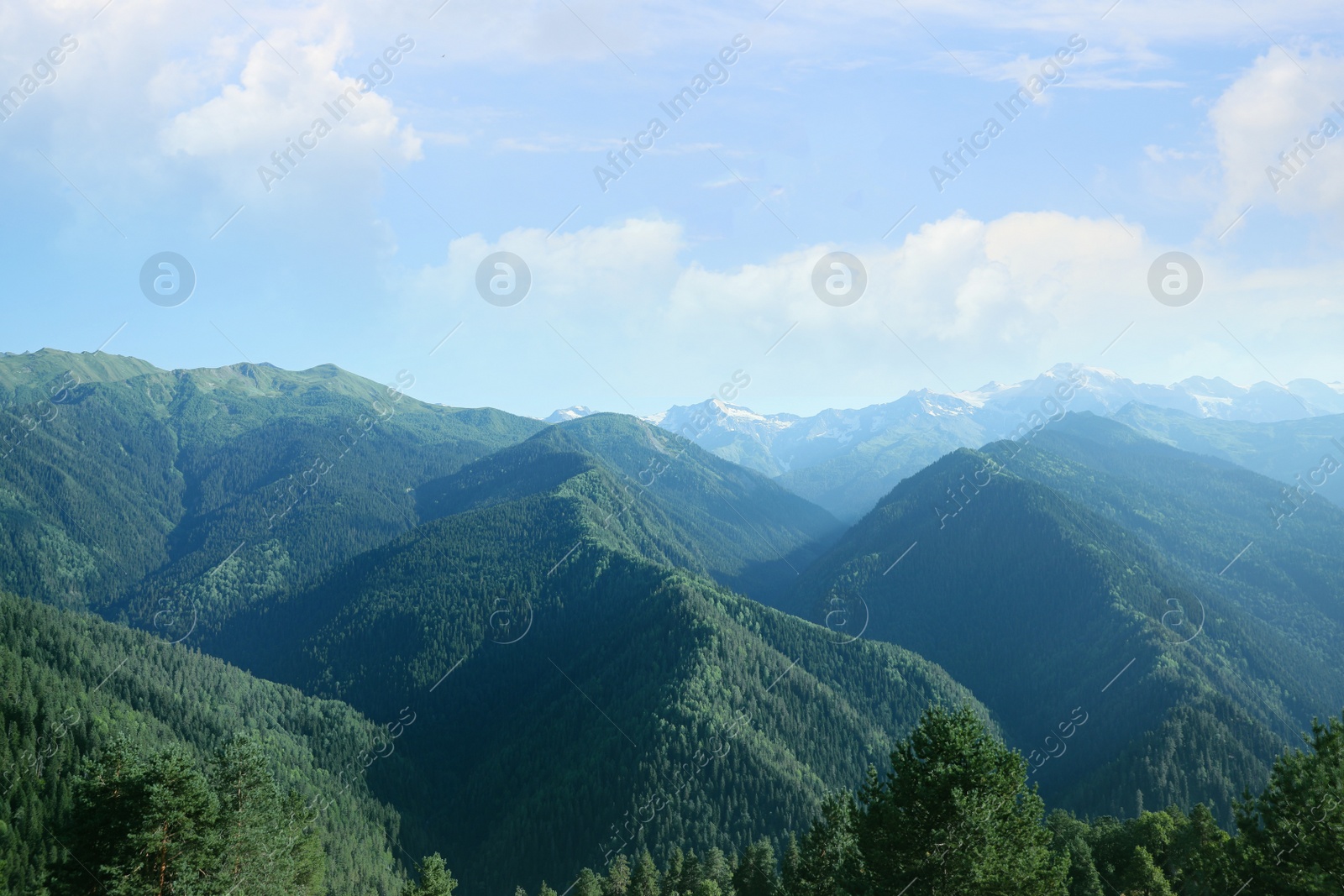 Photo of Aerial view of beautiful landscape with mountain forest on sunny day