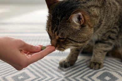 Photo of Woman giving pill to cute cat indoors, closeup. Vitamins for animal