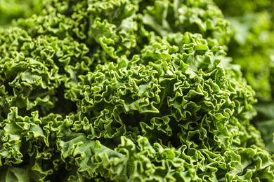 Photo of Fresh green kale leaves as background, closeup