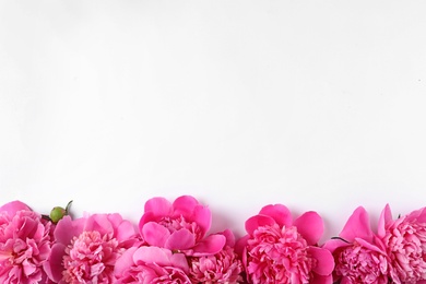 Beautiful peony flowers on white background, top view