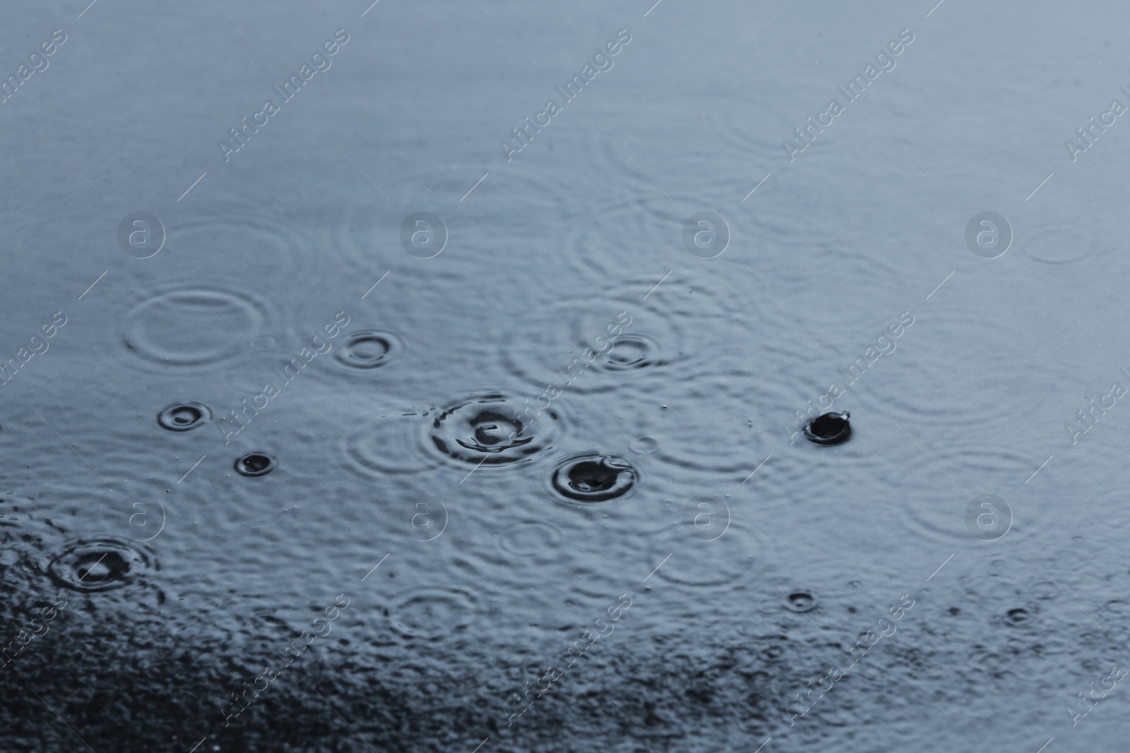 Photo of Rain drops falling down into puddle outdoors