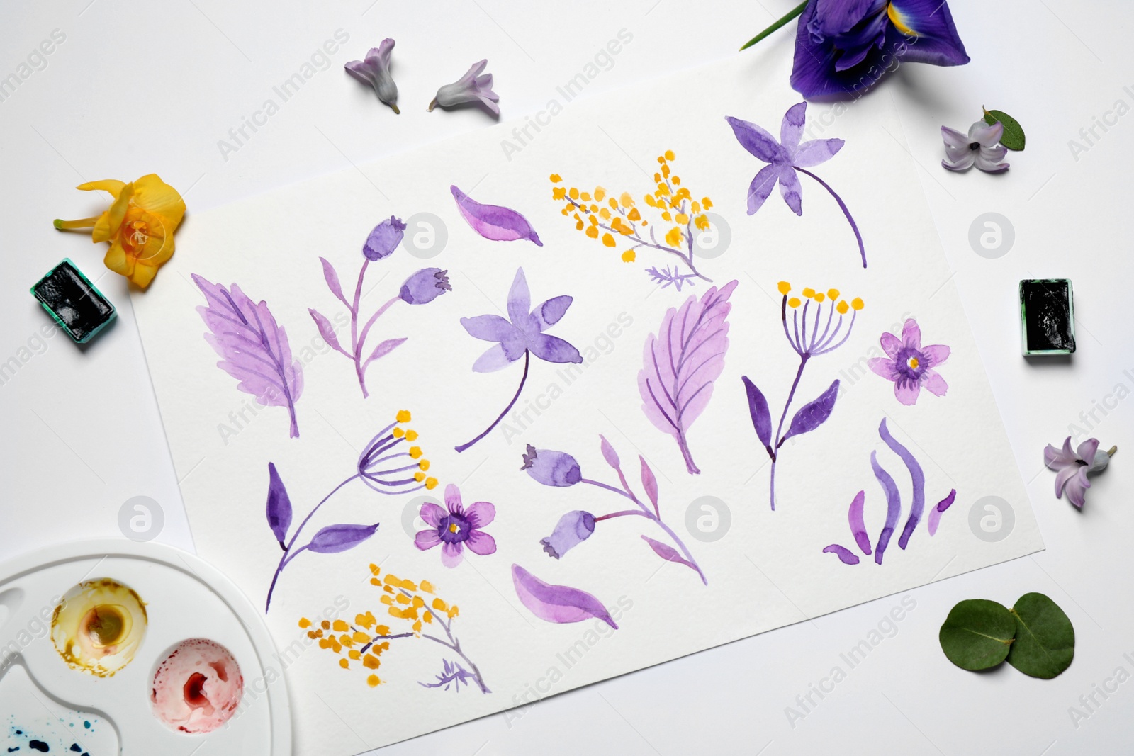 Photo of Flat lay composition with floral picture and watercolor paints on white background