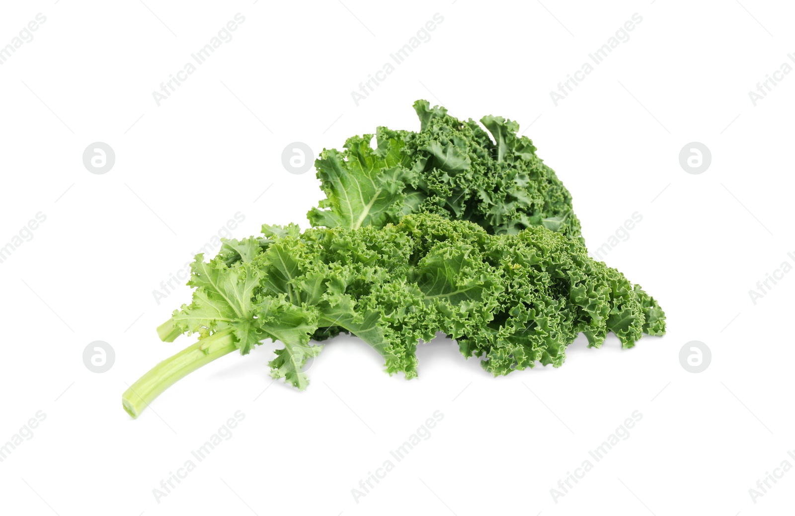 Photo of Fresh green kale leaves isolated on white