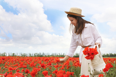 Photo of Woman with handbag picking poppy flowers in beautiful field