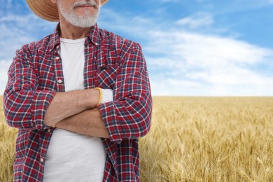 Image of Confident farmer with crossed arms in field, closeup. Harvesting season