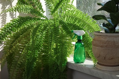Photo of Beautiful houseplants in pots and spray bottle on windowsill indoors. House decor