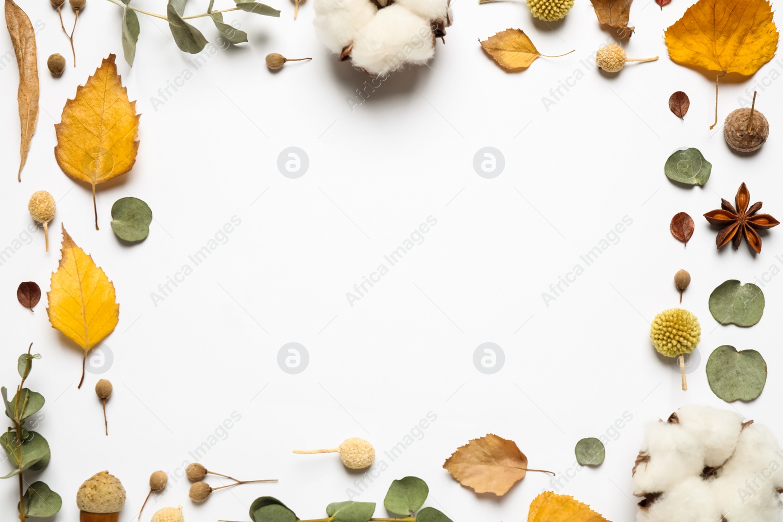 Photo of Flat lay composition with autumn leaves and space for text on white background