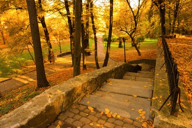 Photo of Stone outdoor stairs and yellowed trees in park