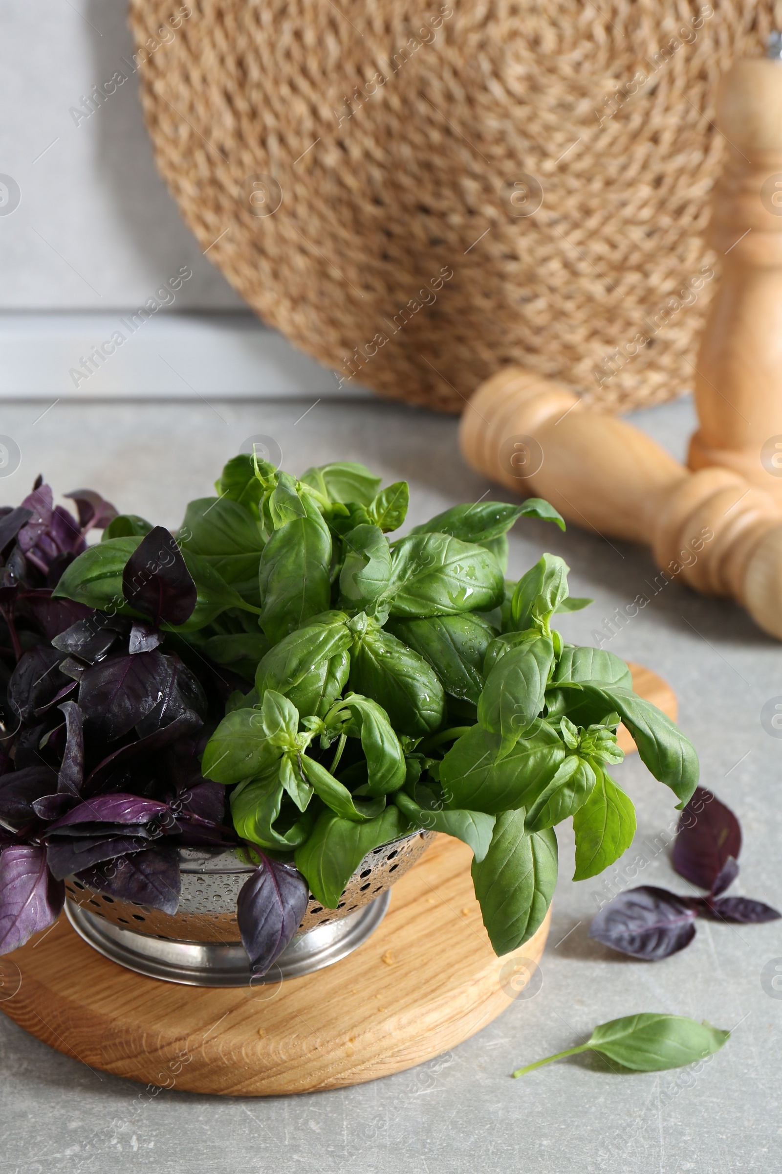 Photo of Metal colander with different fresh basil leaves on grey countertop