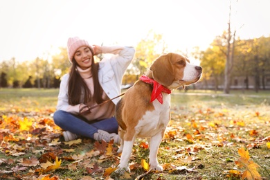 Photo of Woman walking her cute Beagle dog in autumn park