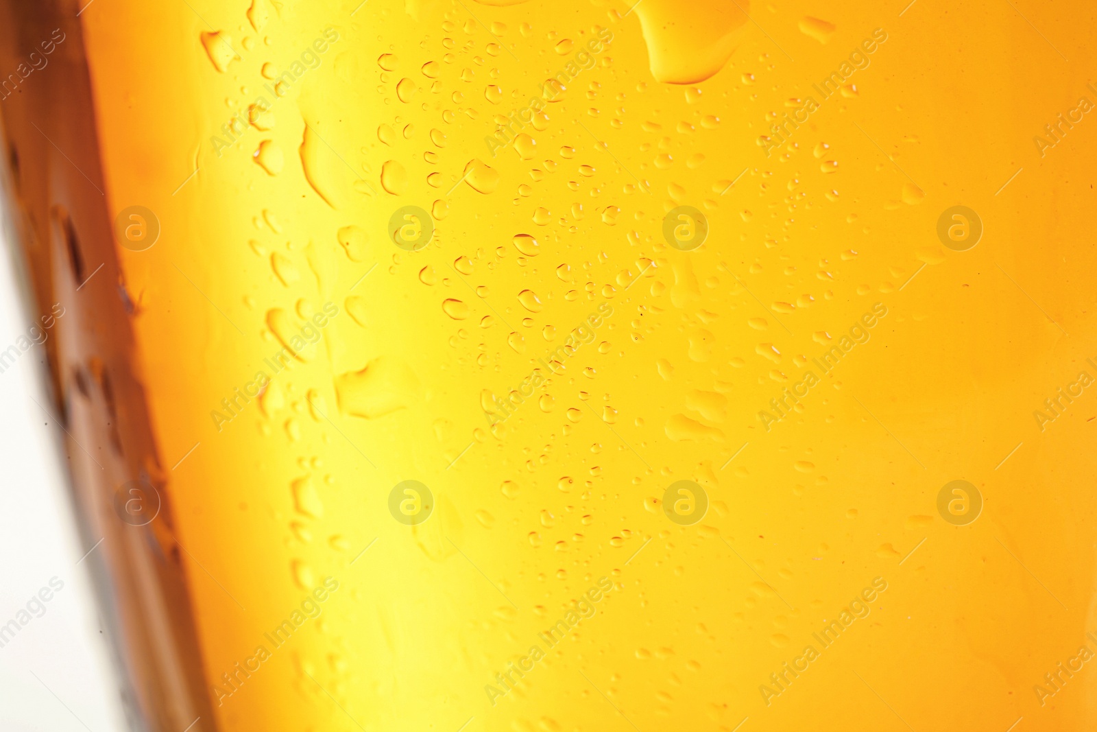 Photo of Glass of tasty beer, closeup. Alcoholic drink