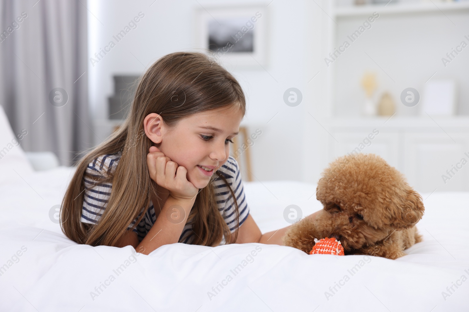 Photo of Little child and cute puppy on bed at home. Lovely pet