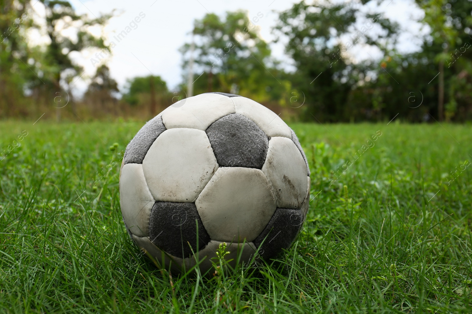 Photo of Dirty soccer ball on fresh green grass outdoors