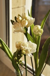 Different beautiful spring flowers on windowsill indoors, closeup