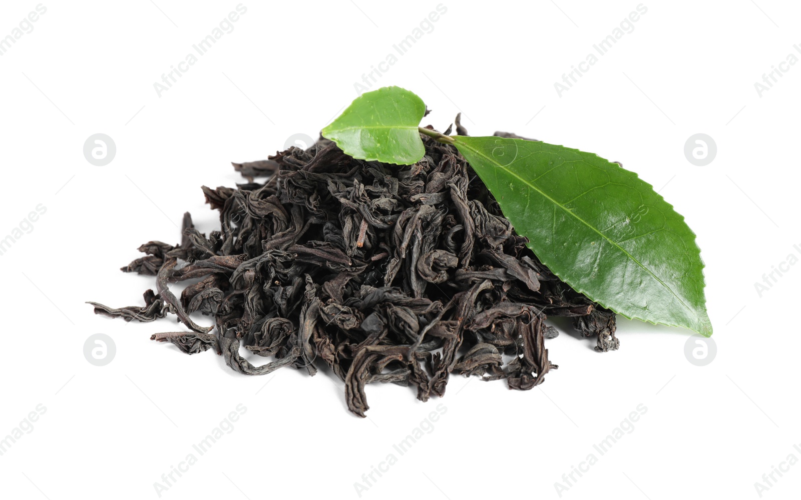 Photo of Fresh and dry leaves of tea plant on white background