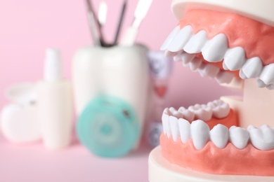 Educational model of oral cavity with teeth on blurred background, closeup. Space for text