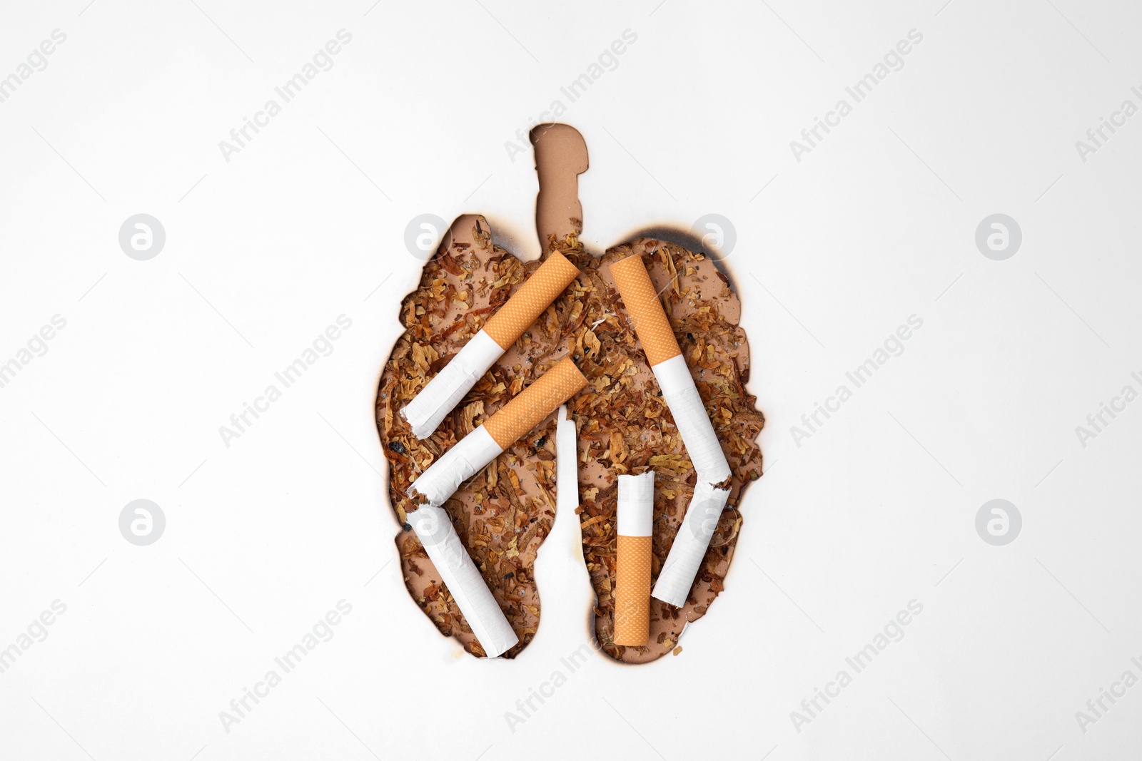 Photo of No smoking concept. Top view of dry tobacco and cigarettes through burned lungs shaped paper