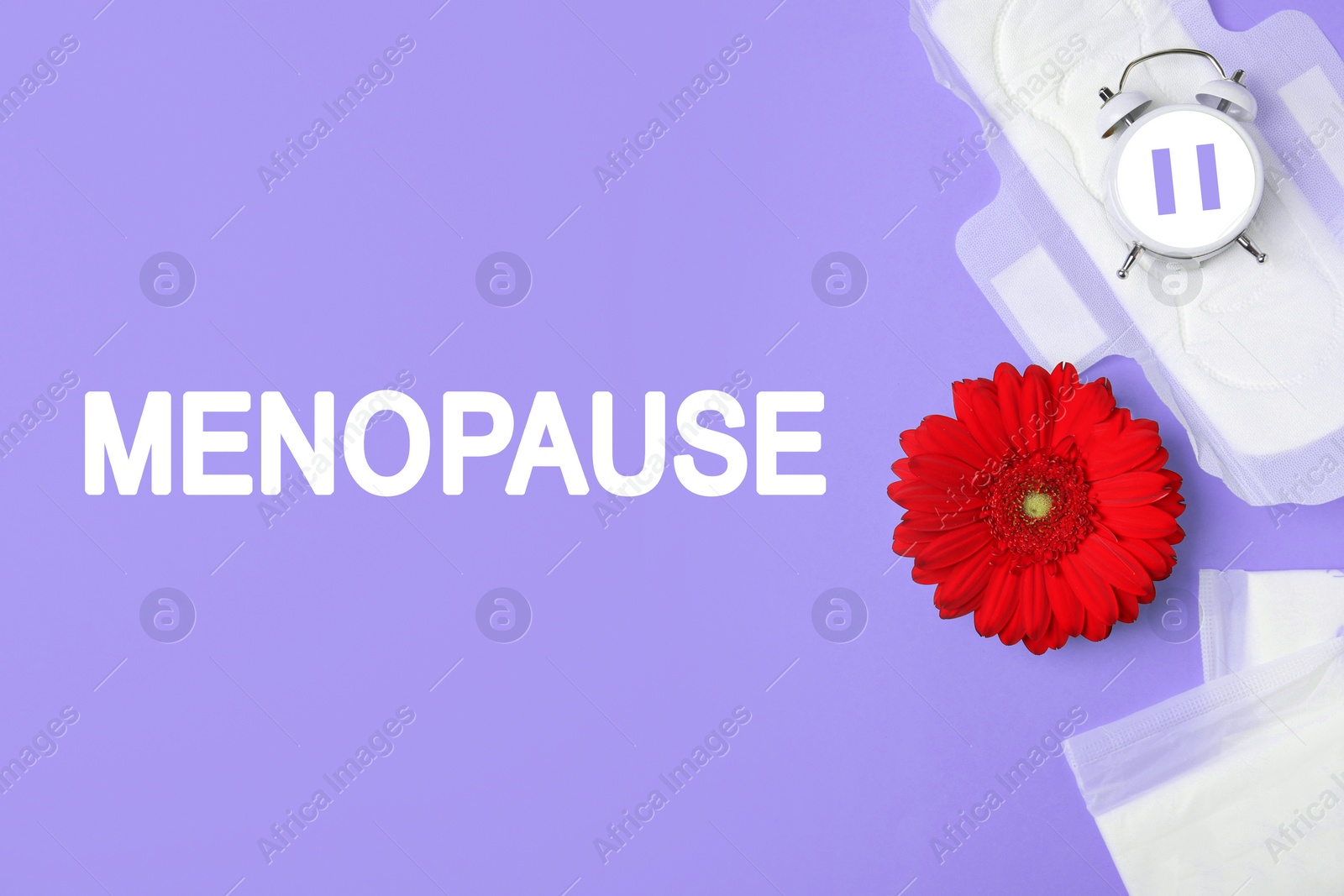 Image of Menopause word, alarm clock with pause symbol, flower and pads on violet background, flat lay