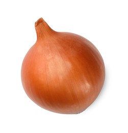 One fresh onion on white background, top view