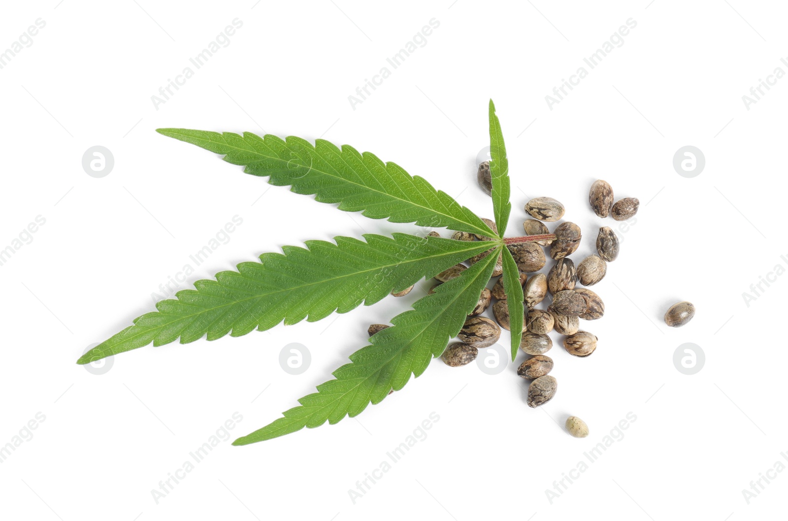 Photo of Hemp seeds and leaf on white background, top view