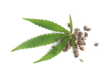 Hemp seeds and leaf on white background, top view