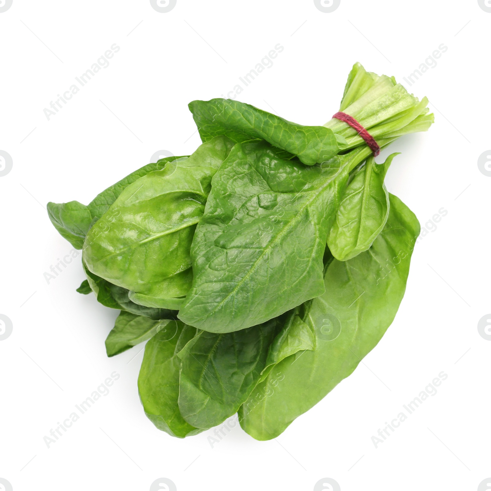 Photo of Bundle of fresh spinach isolated on white, top view