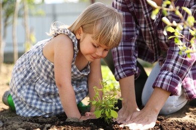 Photo of Mother and her cute daughter planting tree together in garden, closeup