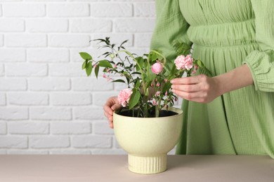 Beautiful ikebana for stylish house decor. Woman create floral composition with fresh flowers and branches at beige table, closeup