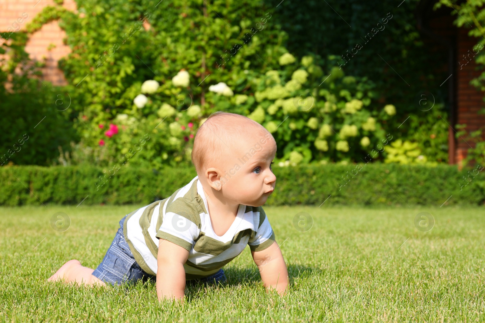 Photo of Adorable little baby crawling on green grass outdoors