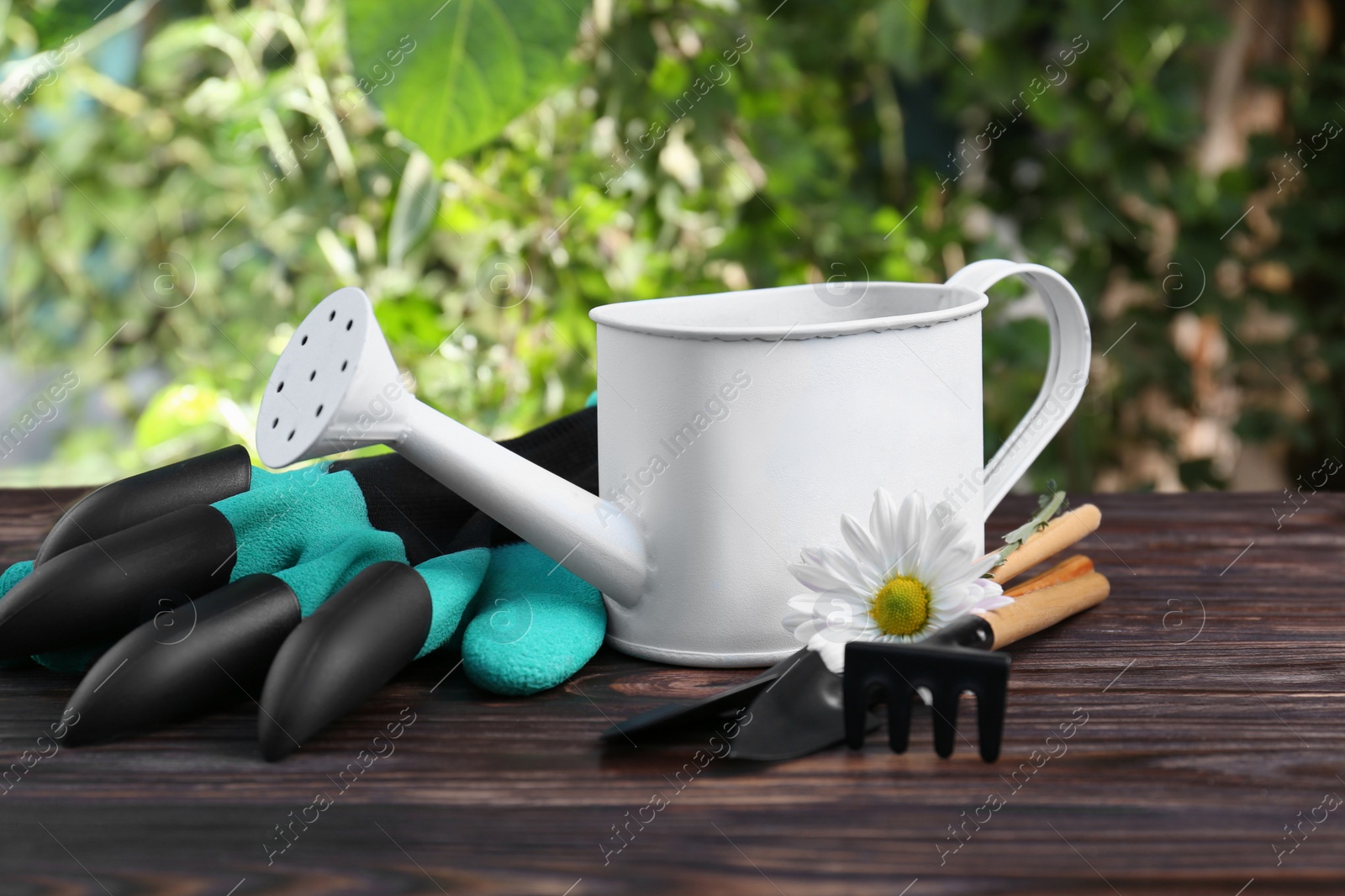 Photo of Watering can, flower and gardening tools on wooden table outdoors