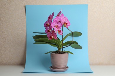 Beautiful pink orchid flower on light blue background