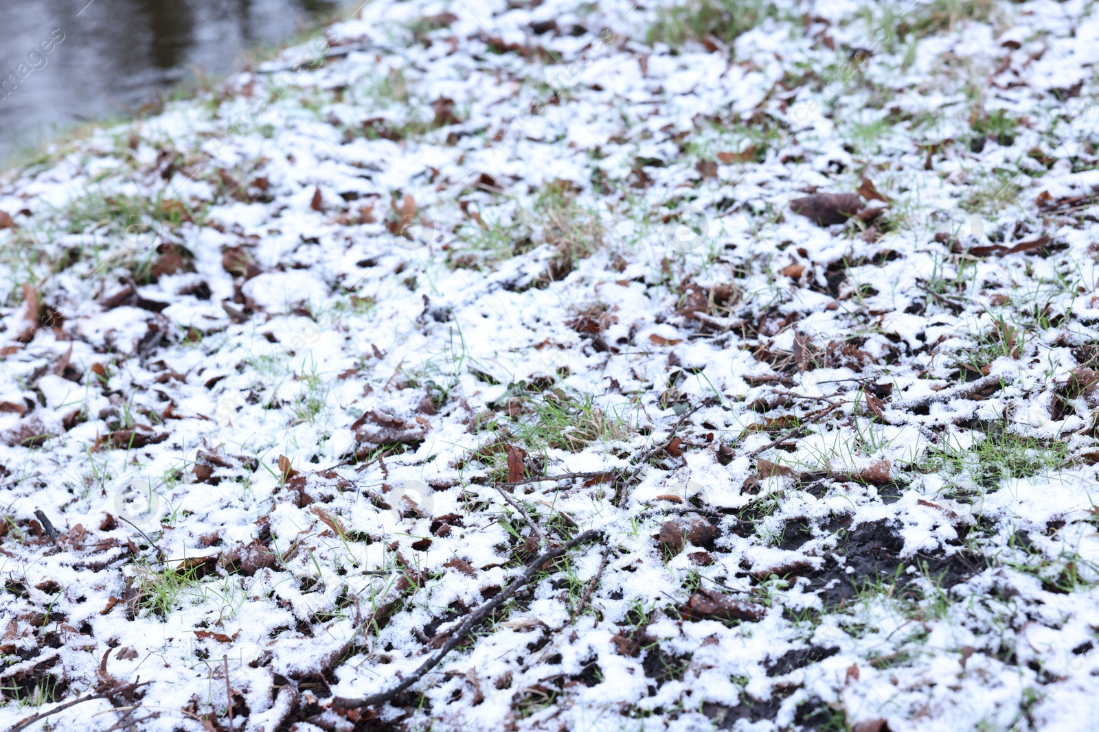 Photo of Green grass covered with snow on winter day