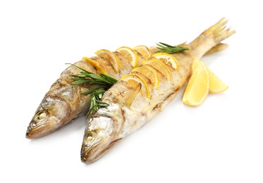 Tasty homemade roasted pike perches with rosemary and lemon on white background. River fish