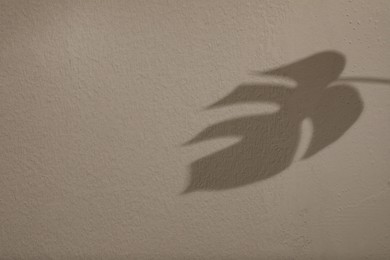 Shadow of monstera leaf on light wall, space for text