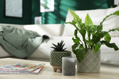 Photo of Beautiful potted plants, candle and magazines on wooden table indoors, space for text