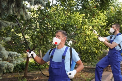 Photo of Workers spraying pesticide onto tree outdoors. Pest control
