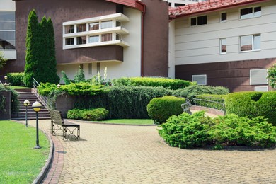 Photo of View of beautiful building and green plants growing in residential area. Landscape design