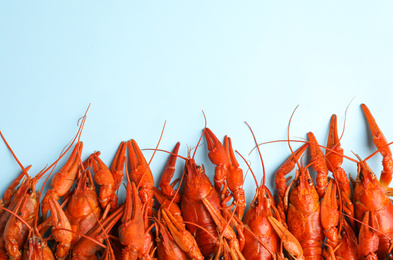 Delicious boiled crayfishes on light blue background, flat lay. Space for text