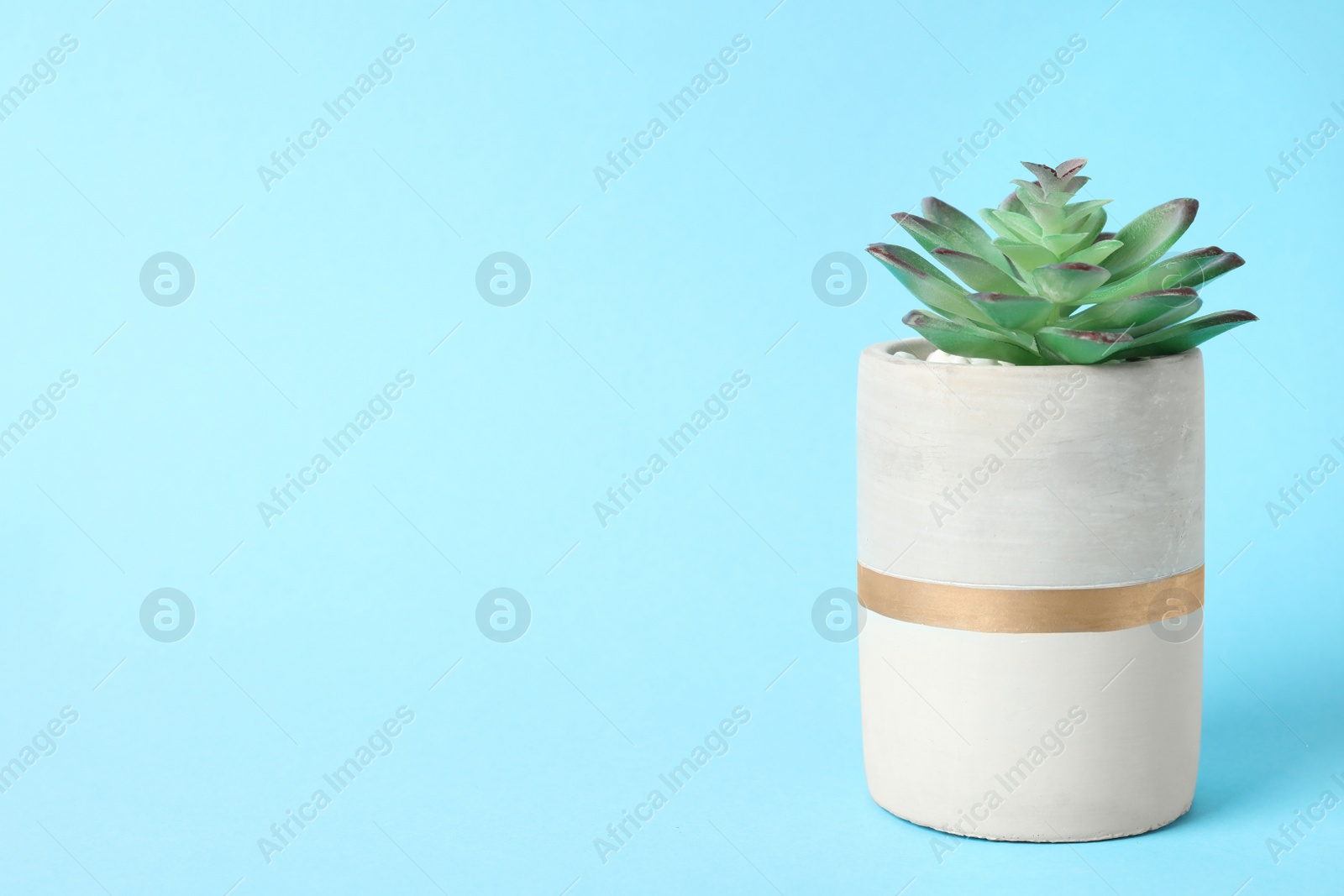 Photo of Beautiful artificial plant in flower pot on light blue background, space for text